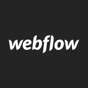 Webflow IMG